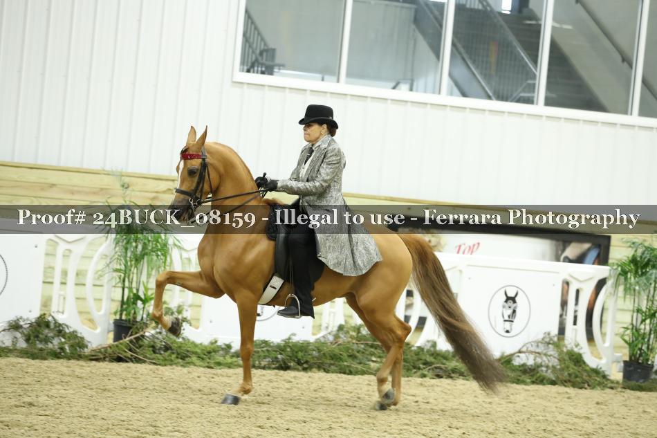 Proof 24BUCK_08159