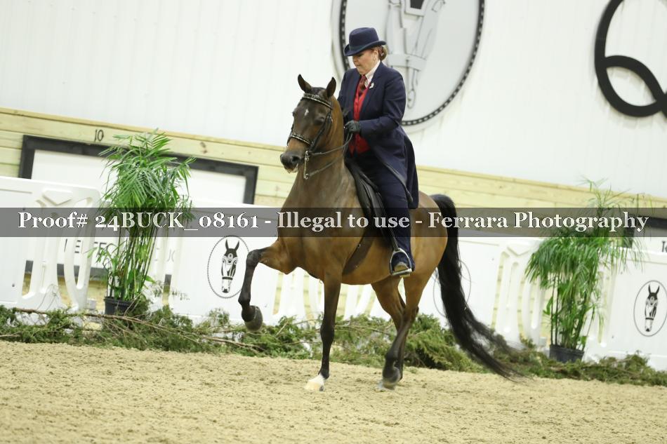 Proof 24BUCK_08161