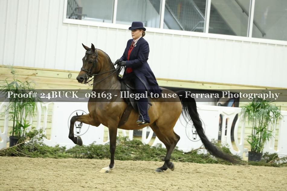 Proof 24BUCK_08163