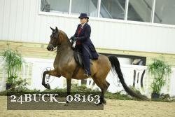 24BUCK_08163 proof