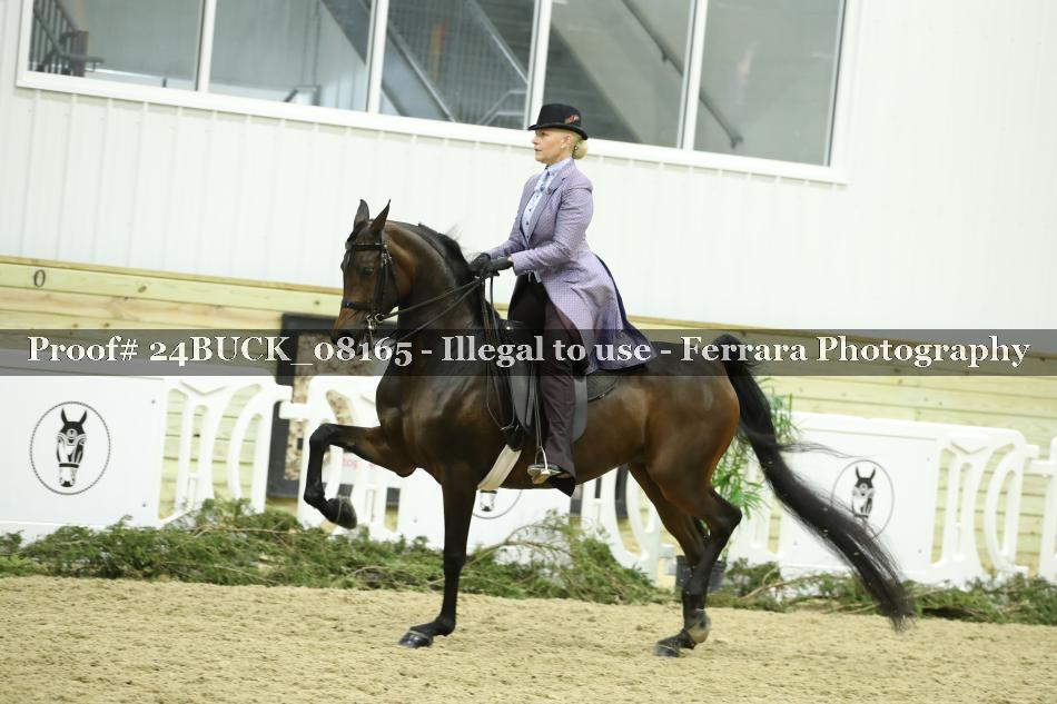 Proof 24BUCK_08165