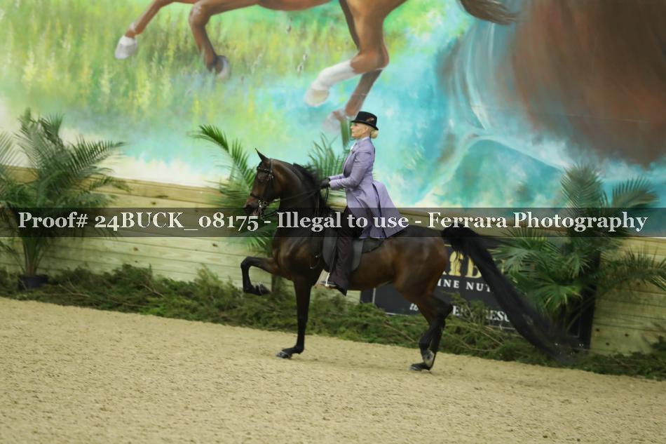 Proof 24BUCK_08175