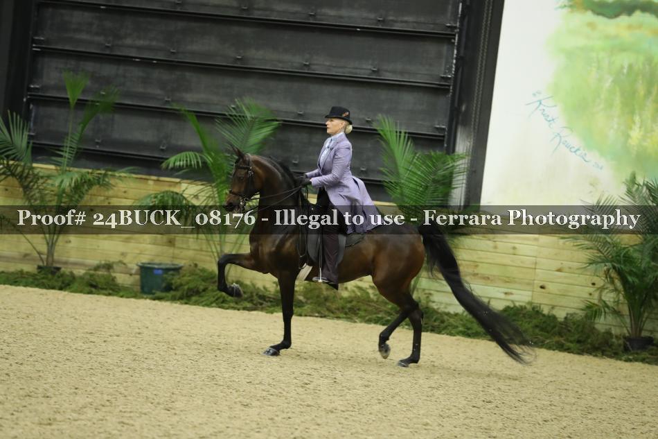 Proof 24BUCK_08176
