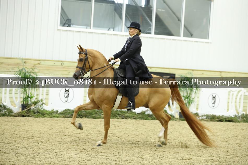 Proof 24BUCK_08181