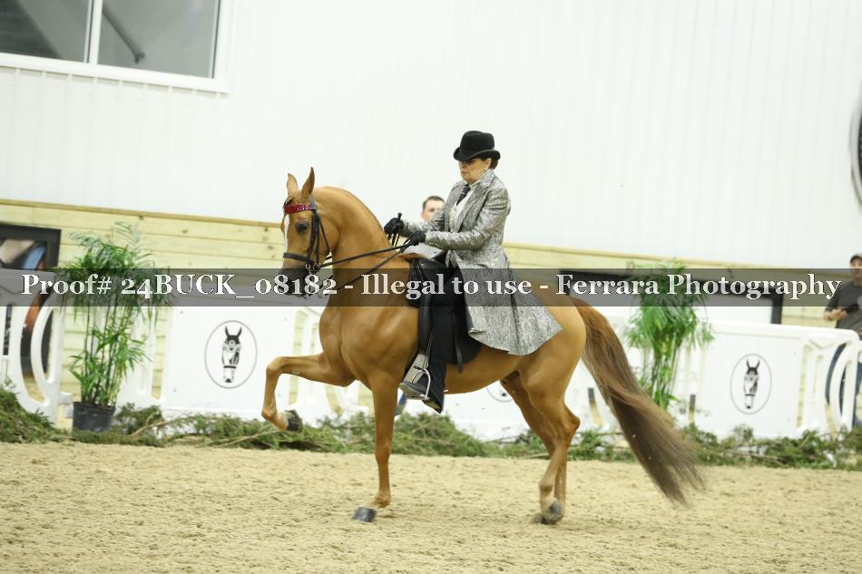 Proof 24BUCK_08182