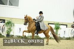 24BUCK_08182 proof