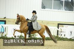 24BUCK_08185 proof