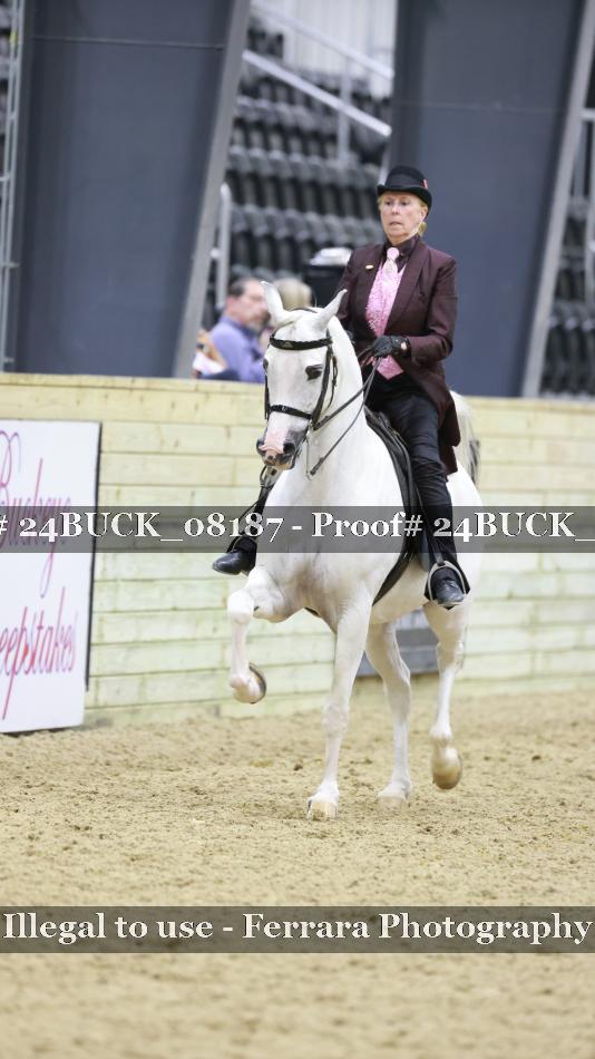 Proof 24BUCK_08187