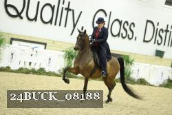 24BUCK_08188 proof