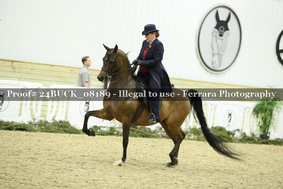 Proof 24BUCK_08189