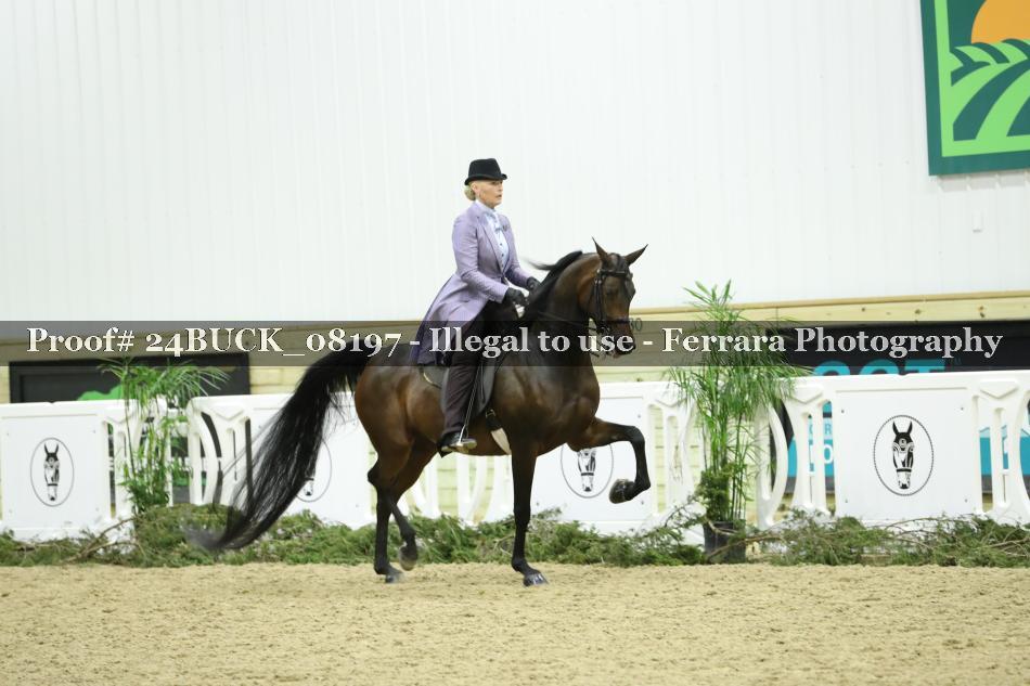 Proof 24BUCK_08197