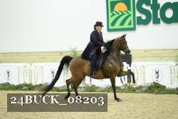 24BUCK_08203 proof