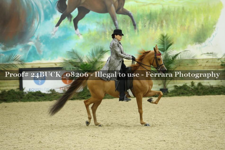 Proof 24BUCK_08206