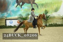 24BUCK_08206 proof