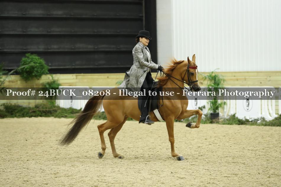 Proof 24BUCK_08208