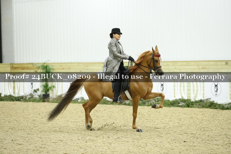 Proof 24BUCK_08209