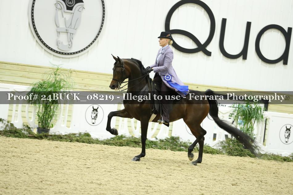 Proof 24BUCK_08219