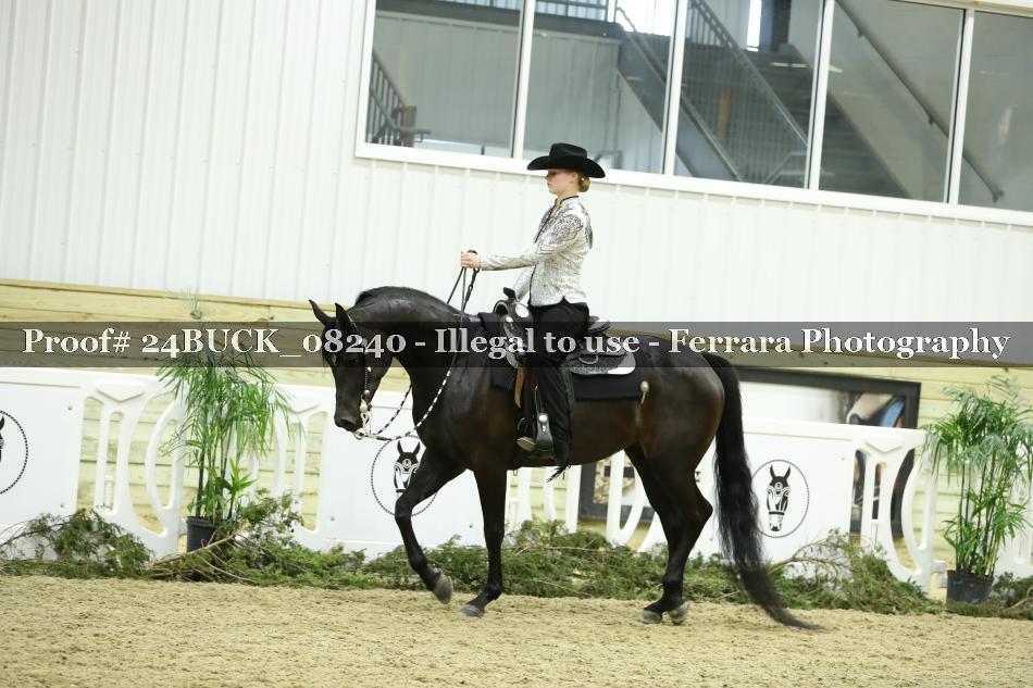 Proof 24BUCK_08240