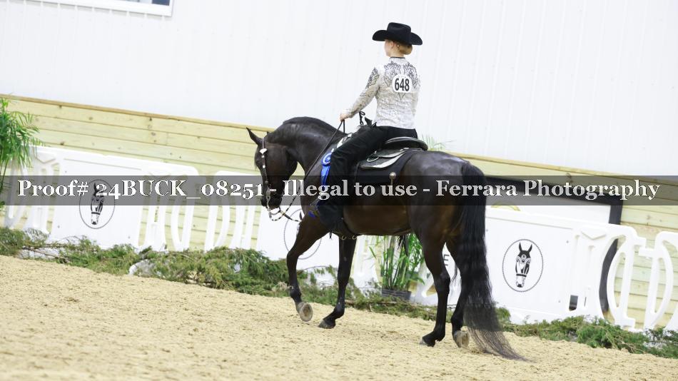 Proof 24BUCK_08251