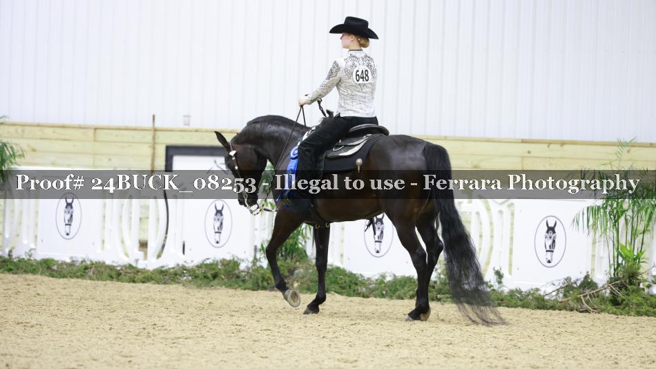 Proof 24BUCK_08253