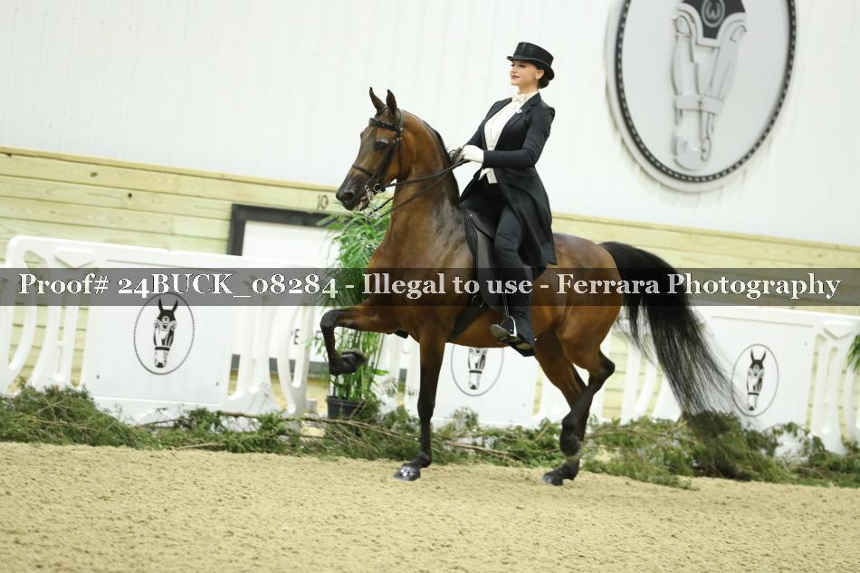Proof 24BUCK_08284