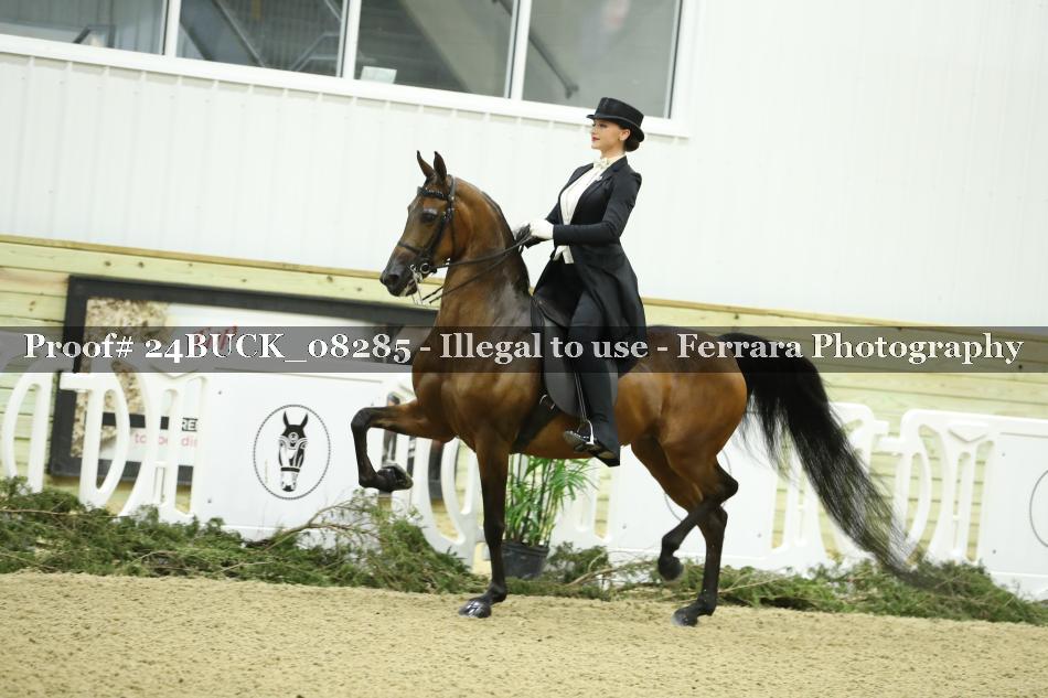 Proof 24BUCK_08285
