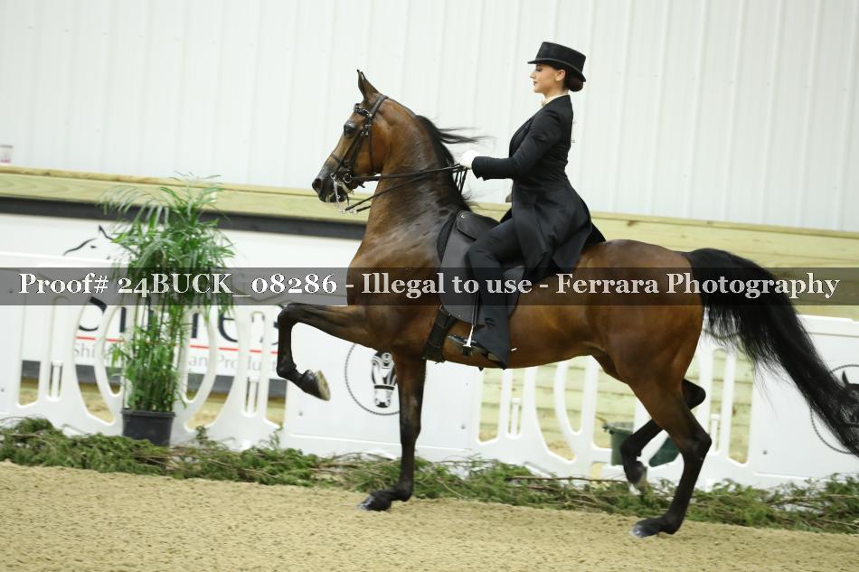 Proof 24BUCK_08286