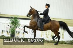 24BUCK_08286 proof
