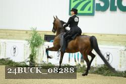 24BUCK_08288 proof