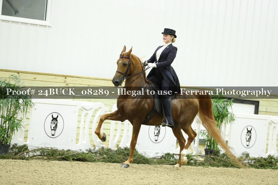 Proof 24BUCK_08289