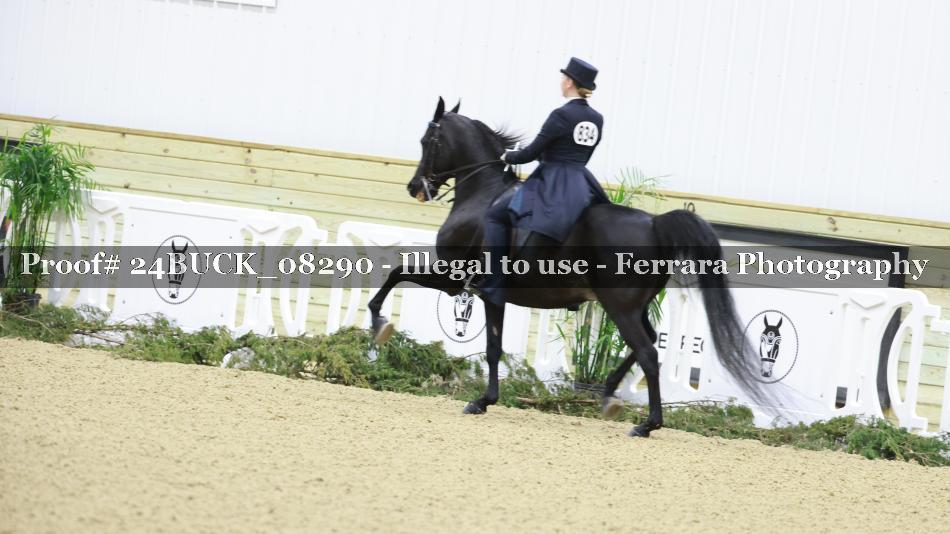 Proof 24BUCK_08290