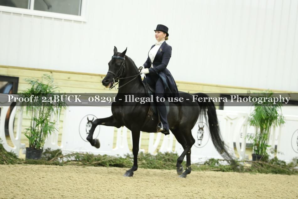 Proof 24BUCK_08291