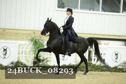 24BUCK_08293 proof