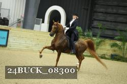 24BUCK_08300 proof