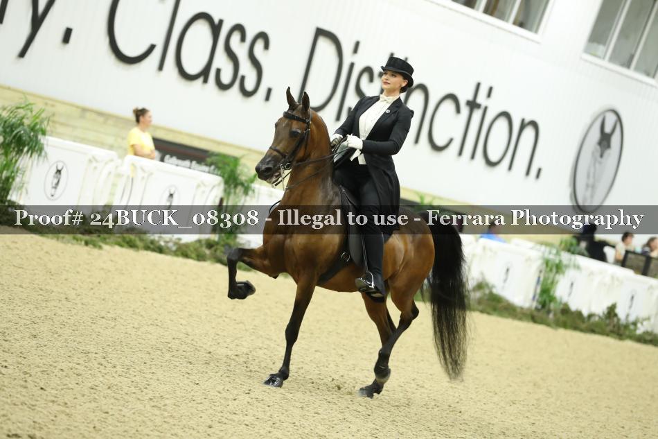 Proof 24BUCK_08308