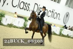 24BUCK_08308 proof