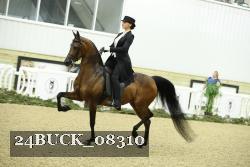 24BUCK_08310 proof