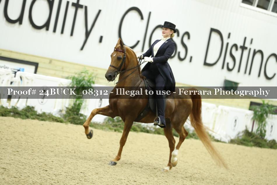 Proof 24BUCK_08312