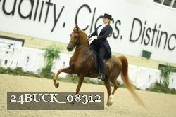 24BUCK_08312 proof