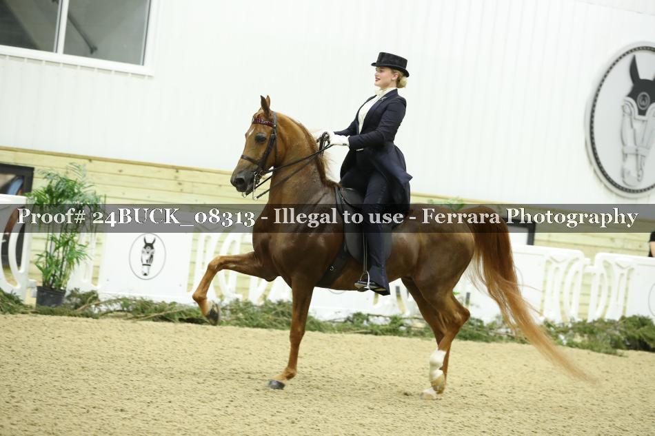 Proof 24BUCK_08313