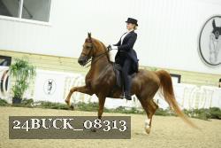 24BUCK_08313 proof