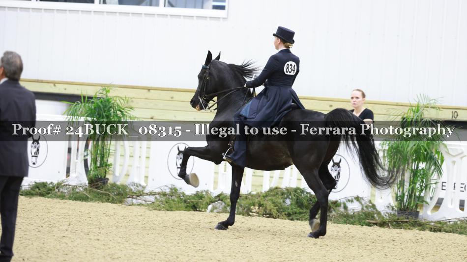 Proof 24BUCK_08315