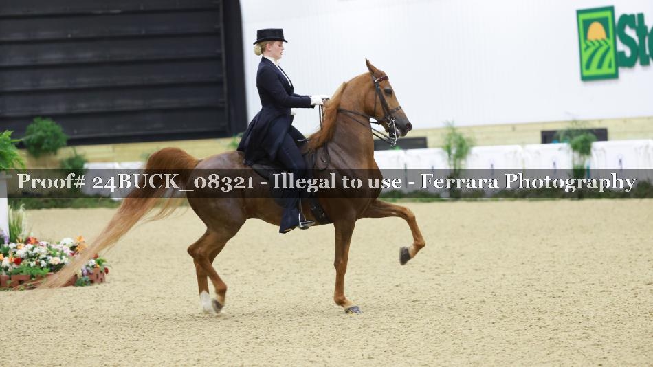 Proof 24BUCK_08321