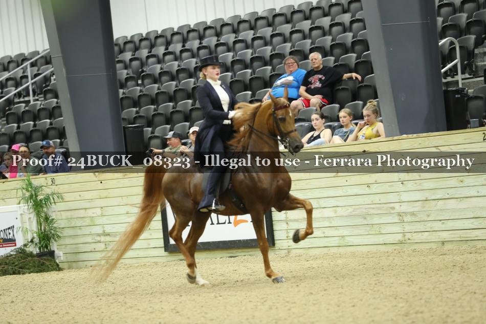 Proof 24BUCK_08323