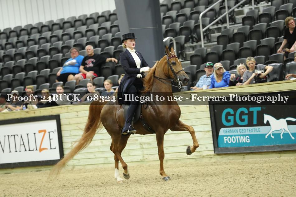 Proof 24BUCK_08324