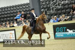 24BUCK_08324 proof