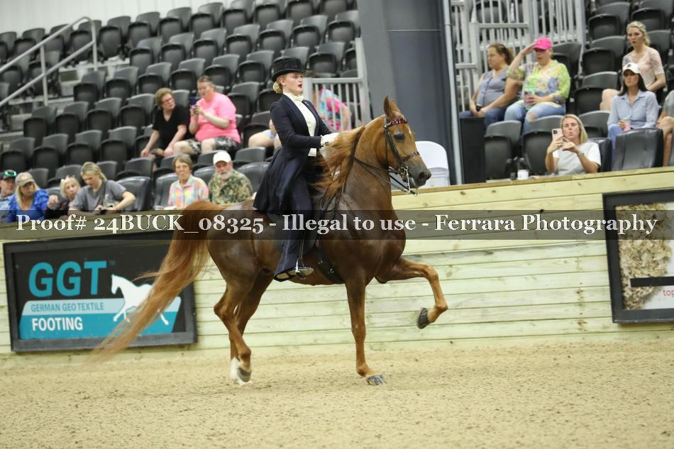 Proof 24BUCK_08325