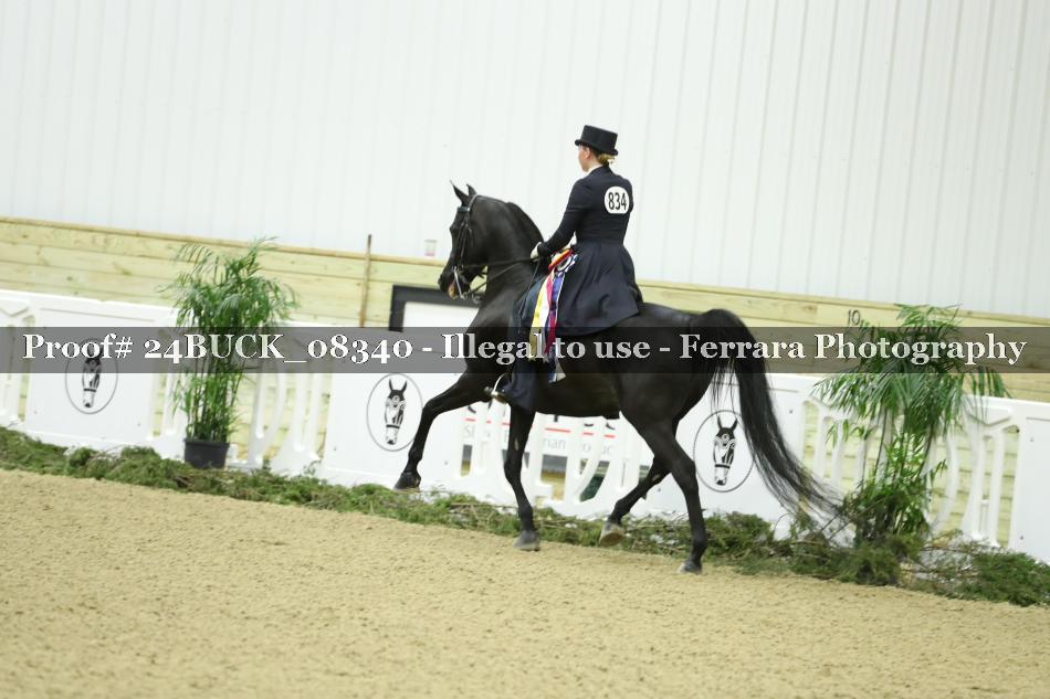 Proof 24BUCK_08340