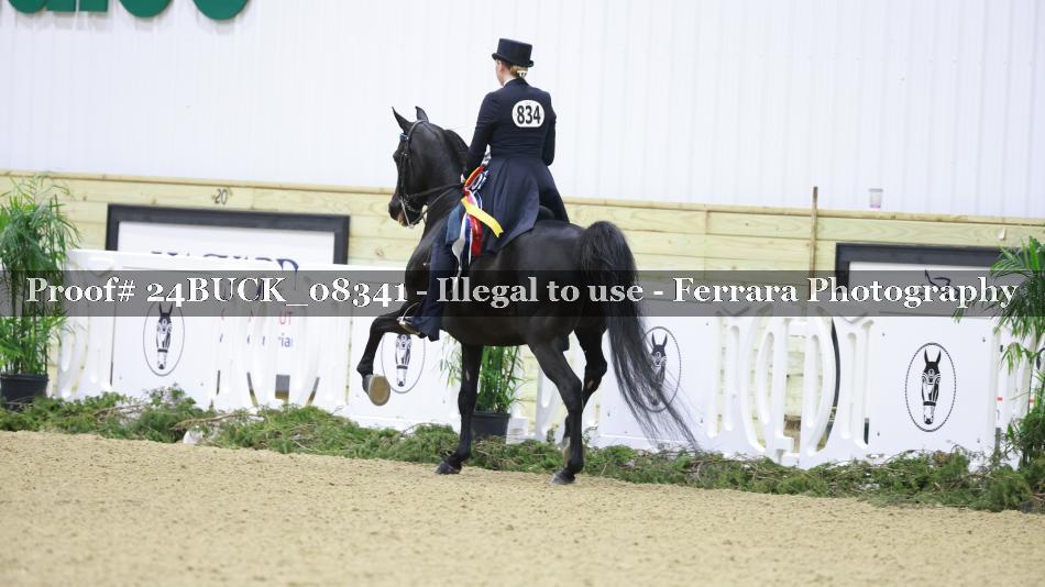 Proof 24BUCK_08341