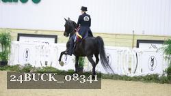 24BUCK_08341 proof